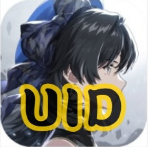 鳴潮【UID自動儲值】 