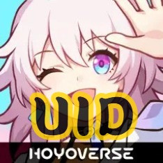 崩壞：星穹鐵道【UID自動儲值】